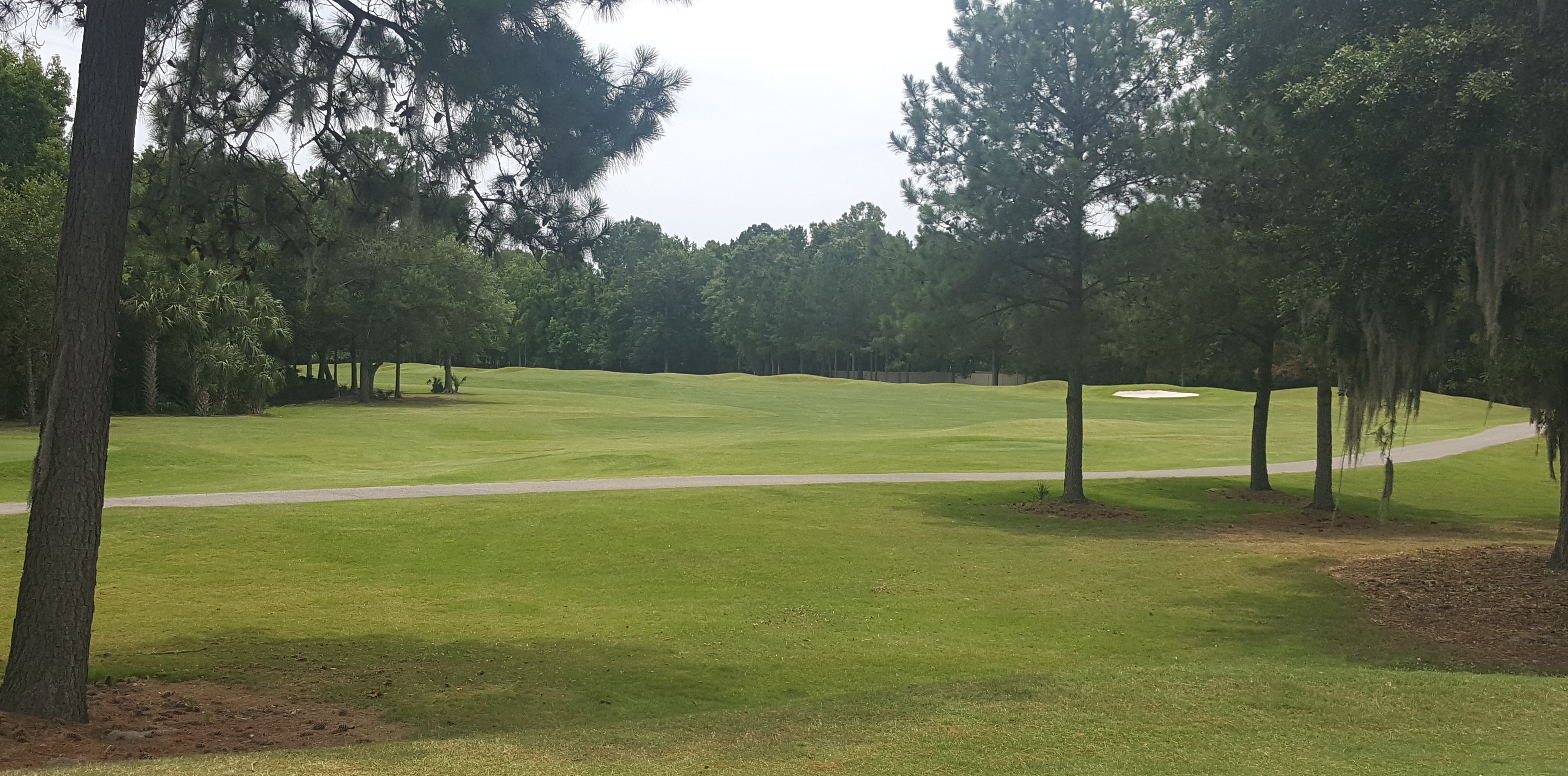 3rd Hole